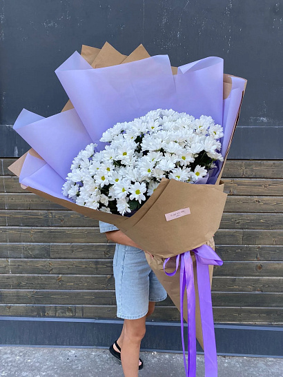 Гигант ромашковой хризантемы