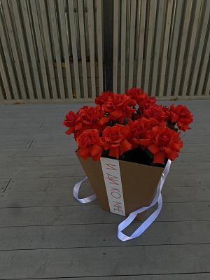 Вывернутые розы Nina