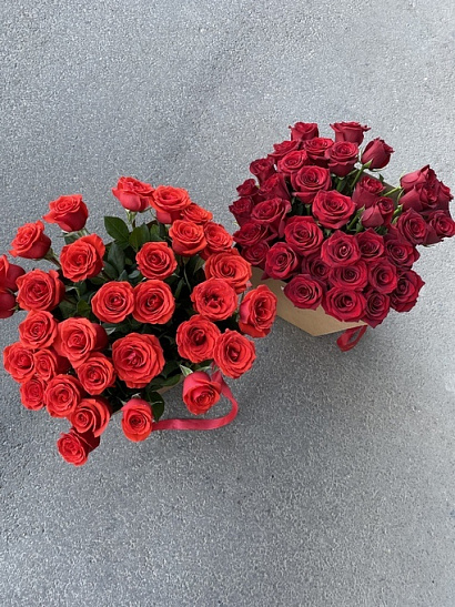 Эквадорские бордовые розы