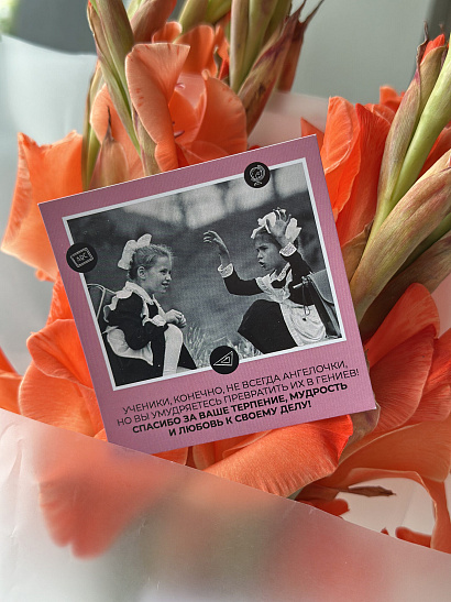 Открытка розовая для учителя