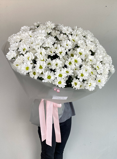 Ромашковая хризантема 25 шт. в матовой плёнке