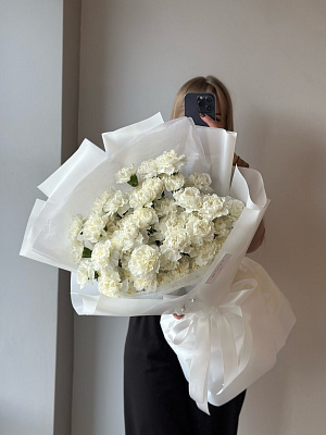 Диантусы 51 шт.