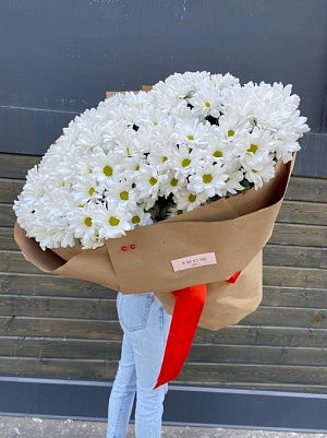 Мороженка ромашковой хризантемы 15 шт.