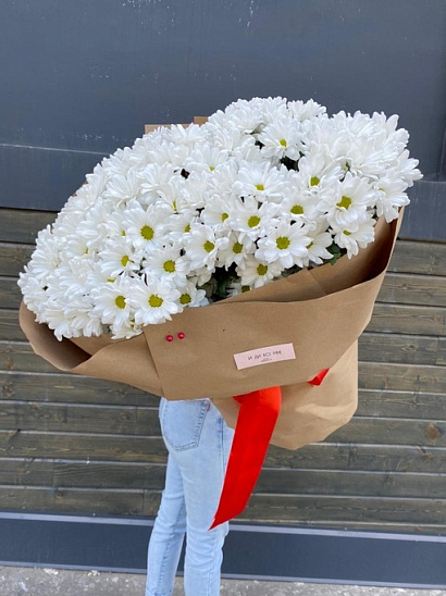 Мороженка ромашковой хризантемы 15 шт.