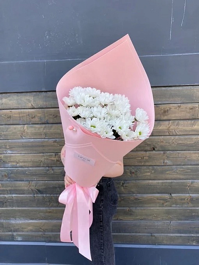 Кулёк ромашковой хризантемы 5 шт.