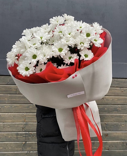 Мороженка ромашковой хризантемы 9 шт.