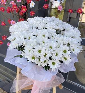 Коробка ромашковой хризантемы