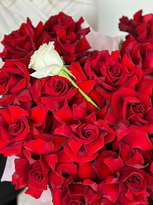 Сердце из вывернутых эквадорских красных роз с одной белой розой