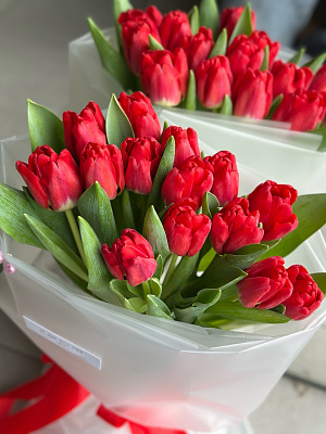 Красные тюльпаны в матовой плёнке 15 шт.