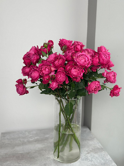 Охапка кустовой пионовидной розы Julieta Cerise 60 см