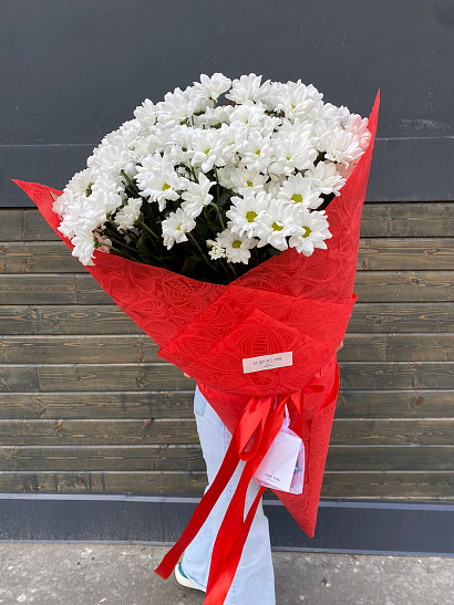 Гигант ромашковой хризантемы 15 шт.