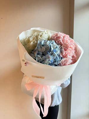 Гортензии в матовой пленке 3 шт.