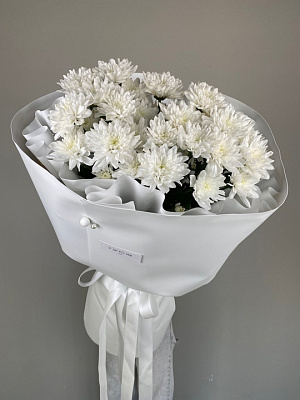 Мороженка махровой хризантемы 5 шт. в белом