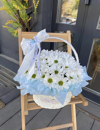 Корзинка ромашковой хризантемы