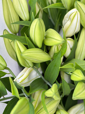 Охапка белых лилий 100 см