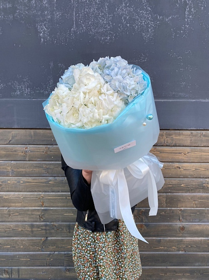 Колумбийские бело-голубые гортензии