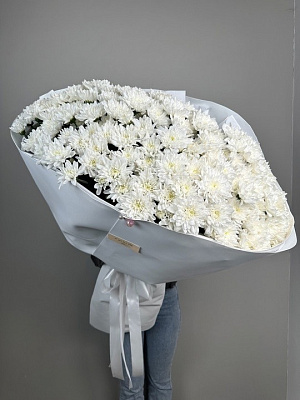 Мороженка махровой хризантемы 25 шт.