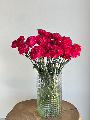 Охапка диантусов 25 штук