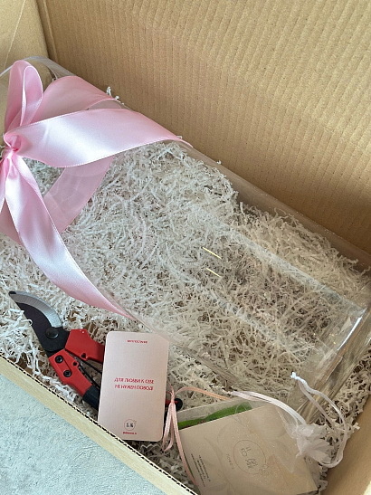 Бокс с вазой и секатором