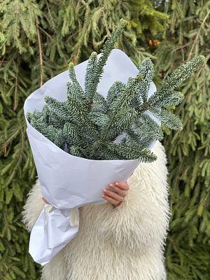 Охапка нобилиса (датская ель)