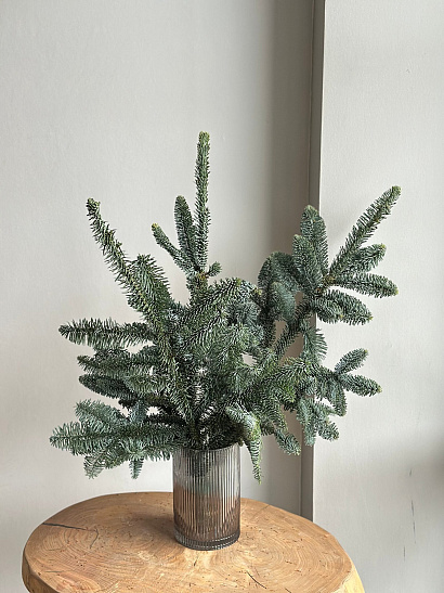 Охапка нобилиса (датская ель)