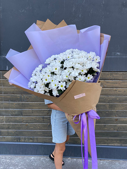 Гигант ромашковой хризантемы