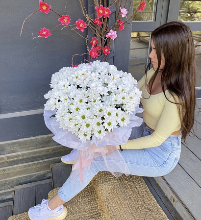 Коробка ромашковой хризантемы