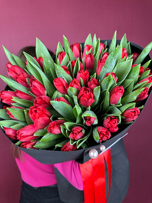 Красные тюльпаны 51 шт.