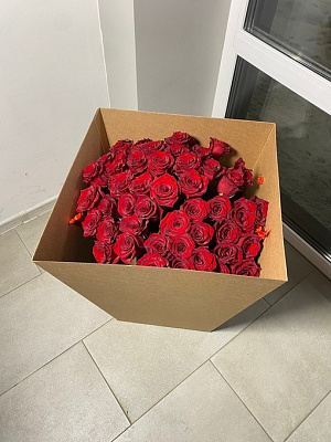 51 эквадорская роза