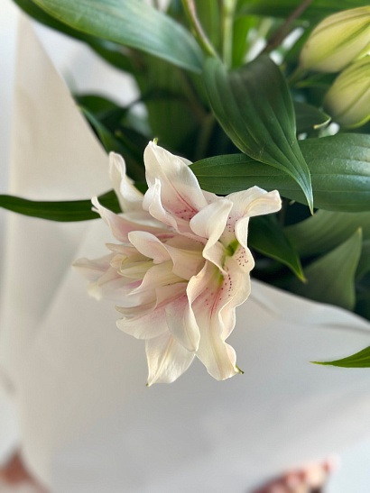 Охапка розовых пионовидных лилий