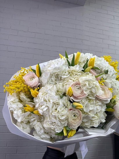 Первые лучи солнца