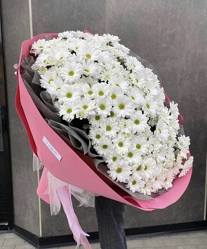 Мороженка ромашковой хризантемы 25 шт.