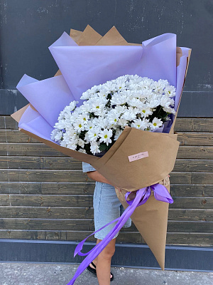 Гигант ромашковой хризантемы