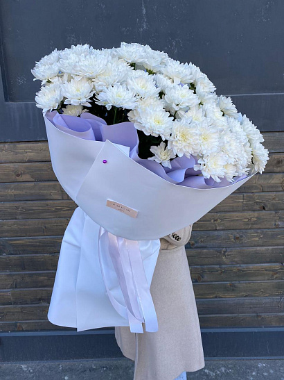 Мороженка махровой хризантемы 9 шт.