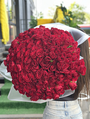 201 кенийская роза