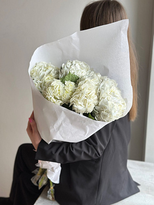 Охапка белых колумбийских гортензий