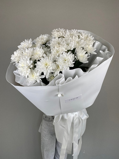 Мороженка махровой хризантемы 5 шт. в белом